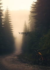 a new day, a new adventure