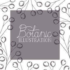botanic illustration label with plants