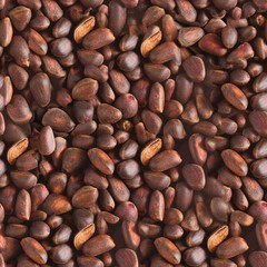 Pine nuts in shells of ciberian cedar. Macro seamless background texture