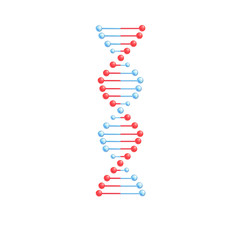 Vector DNA molecule helix spiral genetic code