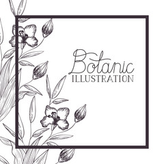 botanic illustration label with plants