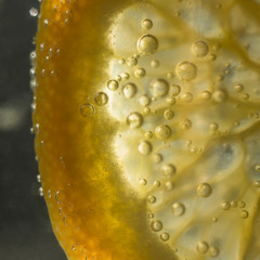 Light shines through a piece of orange in water bubbles