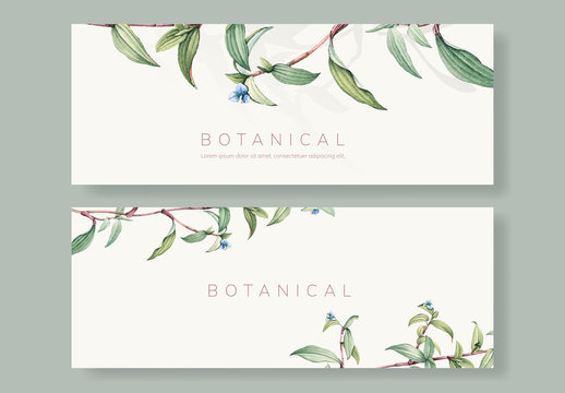 Social Media Banner Layouts with Botanical Illustrations