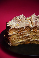 close up of a cake. piece of chocolate cake