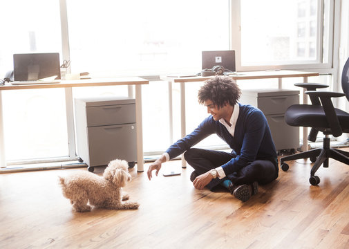 Man Playing With Dog In Office 