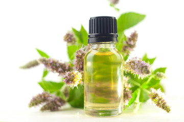 mint essential oil in  beautiful bottle on White background