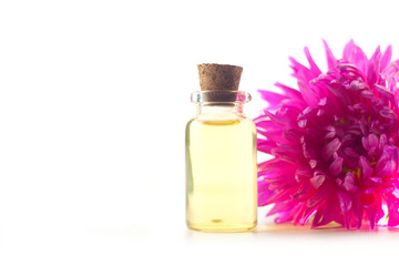 aster essential oil in  beautiful bottle on  White background