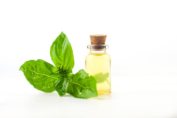 basil essential oil in  beautiful bottle on White background