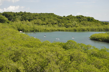 A View of Mahogany Bay, Isla Roatan, Honduras
