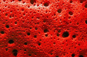 Macro photo of sea sponge Though extremely plant-like in appearance, sponges are actually one of the most primitive animals in the sea. They belong to a group called porifera. Most of us are familiar with the dried colorless varieties that populate the kitchens and bathrooms of the world. But in the ocean, live sponges can be found in an infinite variety of colors and shapes. Most of them are relatively small, but some varieties can grow to over 6 feet in diameter. Sponges differ from all other marine invertebrates in that they have no true tissues or organs. Their structure is composed of simple aggregations of cells.

Digitally Enhanced