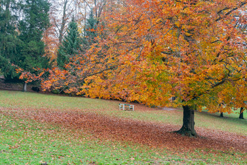Beautiful autumn landscape around Lake Bled