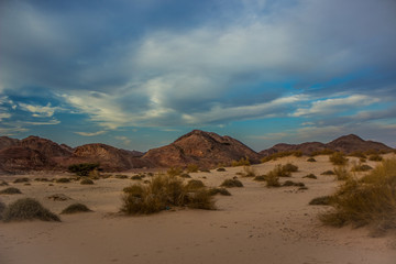 desert evening dry scenery landscape with yellow sand valley foreground and bare rock mountain ridge background