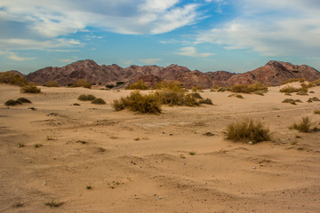 desert evening dry scenery landscape with yellow sand valley foreground and bare rock mountain ridge background