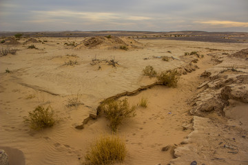 dry desert drought consequence scenery landscape