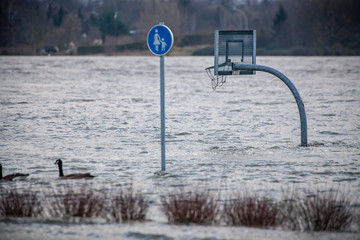 Flood disaster. Rhine flood in Cologne and Bonn. Basketball hoop and shield stand in the water