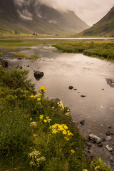 typical landscapeof the Isle of Mull, Inner Hebride
