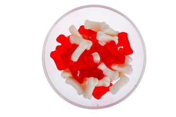 Bone shaped jelly candies on white