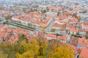 Aerial view of the Ljubliana cityscape