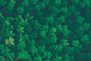 Lucky clover vintage background