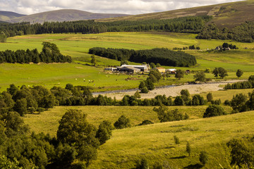 rural landscape with farms, pastures, cattle, Highlands, Scotland