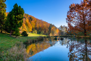 Fototapeta premium A beautiful pond in the arboretum of Aubonne, Switzerland in the autumn season.