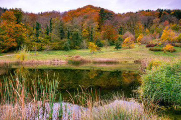 A beautiful pond in the arboretum of Aubonne, Switzerland in the autumn season.