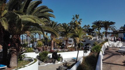 TENERIFFA, Puerto de la Cruz