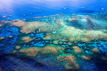 Great barrier reef, aerial view