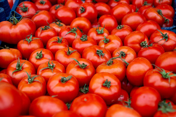 Little red cherry tomato (selective focus)