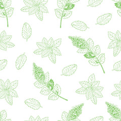 Tea collection. Vector hand drawn seamless pattern with mint on a white background -03 © Nina
