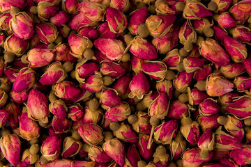 tea rose background, top view