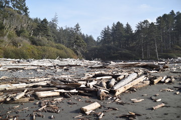 Olympic National Park, Washington state. U.S.A. October 17, 2017. Ruby Beach.