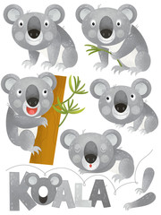 cartoon scene with happy and funny set of koala on white background - illustration for children