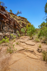 hiking in dales gorge, karijini national park, western australia 55