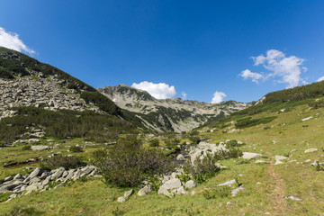 Summer landscape of Pirin Mountain, Bulgaria
