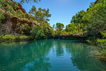 fern pool in dales gorge, karijini national park, western australia 1