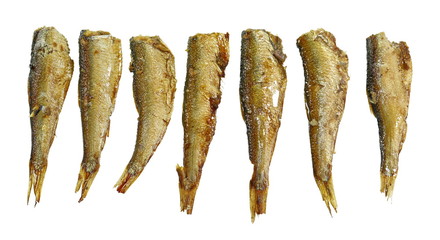 smoked sprats without heads isolated on white.
