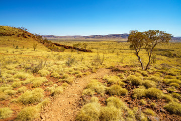 hiking on mount bruce in karijini national park, western australia 10