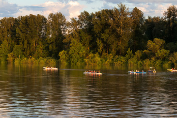 Rowers race down a calm river in the summer