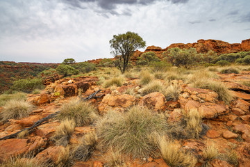 hiking in kings canyon in watarrka national park, northern territory, australia 23 © Christian B.