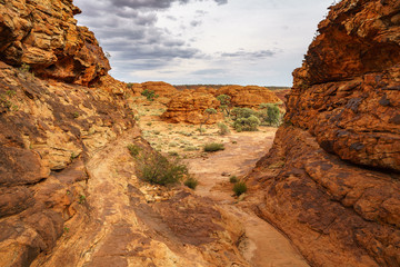Obraz premium hiking in kings canyon in watarrka national park, northern territory, australia 34