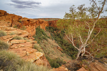 hiking in kings canyon in watarrka national park, northern territory, australia 59