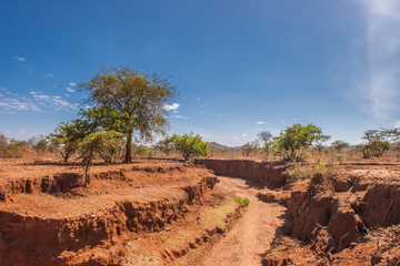 Kenya. Africa. Dried river bed in the African countryside. Sandy canyon. The terrain of Kenya. Landscapes of savanna. Travel to Africa.