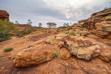 Fototapeta na wymiar hiking in kings canyon in watarrka national park, northern territory, australia 73