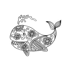 Doodle whale