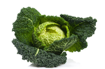 cabbage on white