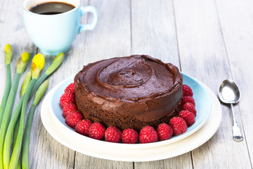 vegan chocolate and raspberry cake