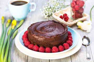vegan chocolate and raspberry cake