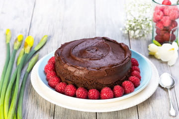 vegan chocolate and raspberry cake