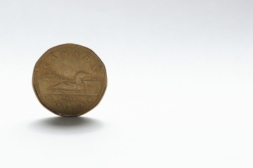 カナダのお金、1ドルコインです